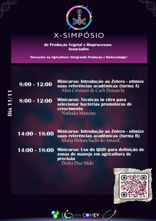 X Simpósio 2